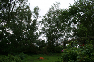 waldgarten