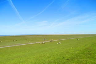 nordseedeich