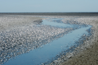 wattenmeer